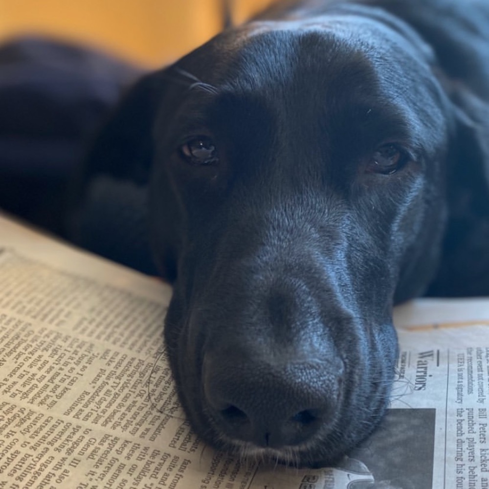 Meet your Posher, Greg